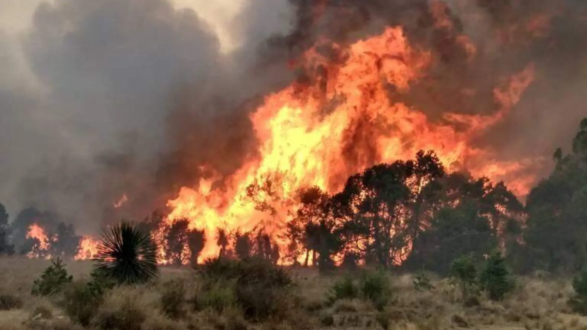 Puebla ocupa el séptimo lugar en incendios forestales